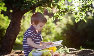 幼小衔接的10大认识误区