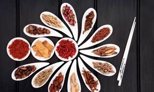 石耳炖鸡的食用注意事项