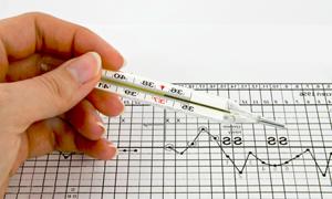 从同房到怀孕需要几天