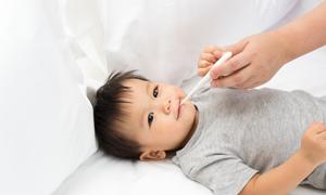 22个月宝宝能不能吃虾