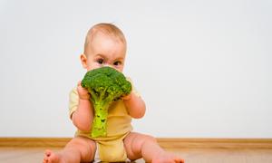 婴幼儿慢性肠炎的症状